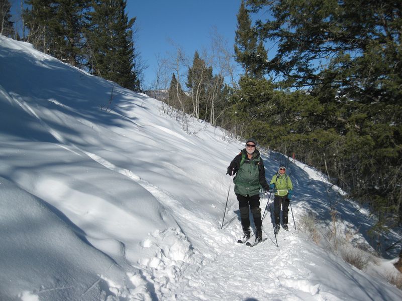 Trail