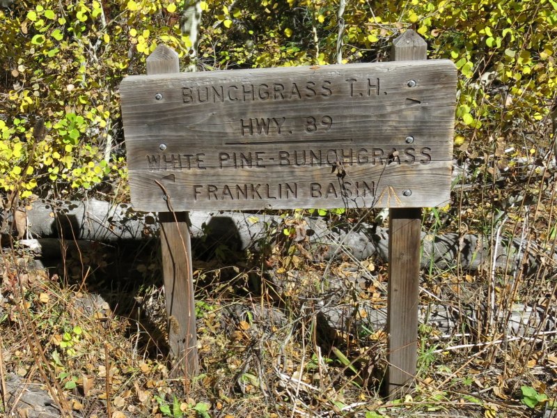 Confusing trail sign