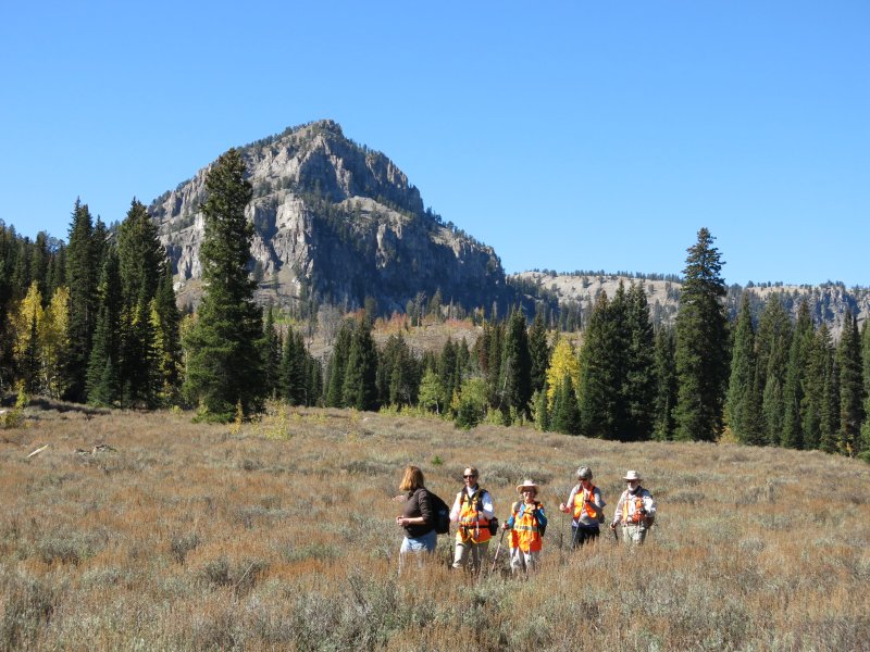 Hiking
              trough the meadow