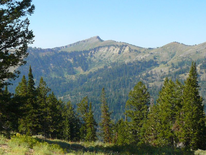 Mt. Elmer