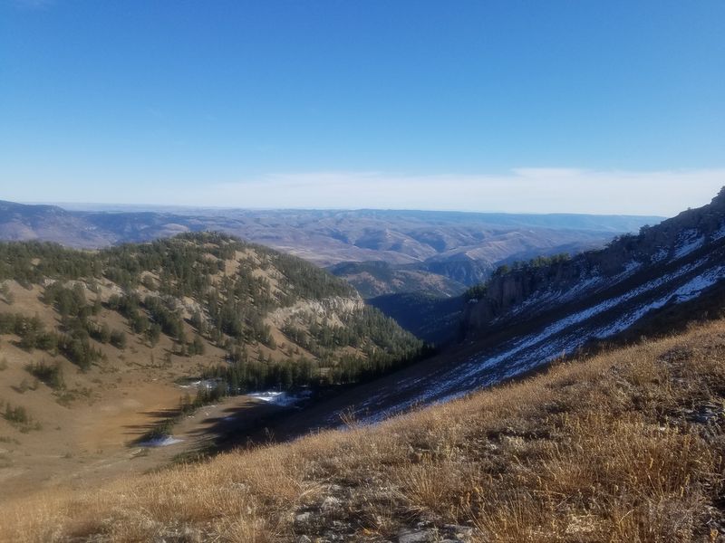 View