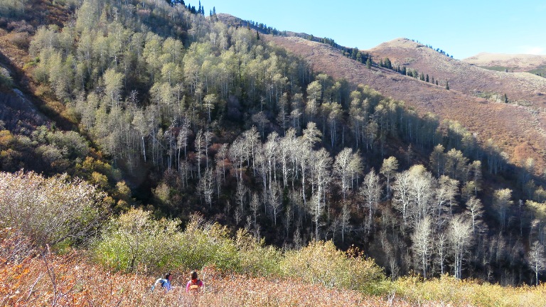 Deep Canyon