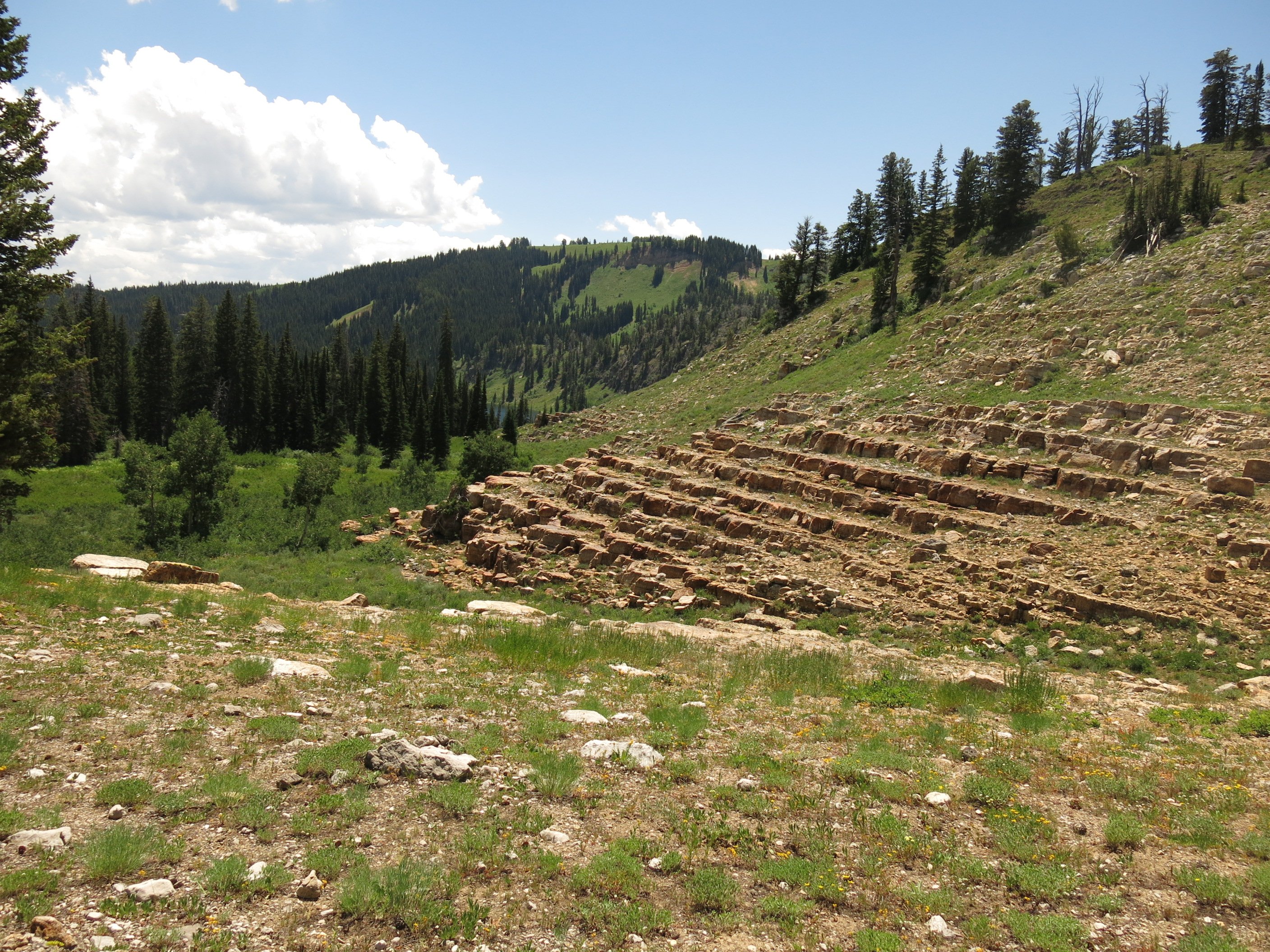 Quartzing "stairs" near
              the Mt. Naomi Peak N.R.T