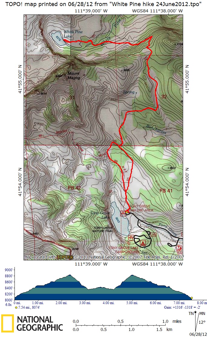 White Pine map and GPS
        track