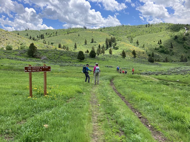 Willow/Little Cottonwood/title>